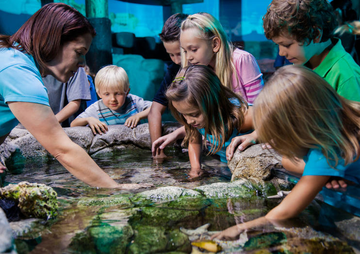 Sea Life Orlando